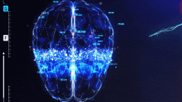 Brain Scan Concept Animation