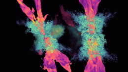 Simulations of Weak Black Hole Jets