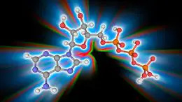 Adenosine Triphosphate ATP