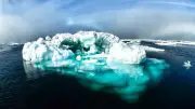 Arctic Ice