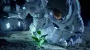 Astronauts Plant Life