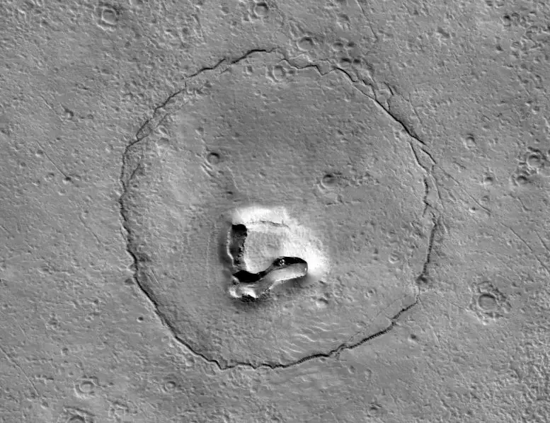 Bear Face on Mars