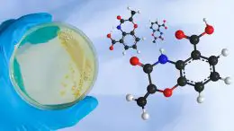 Benzoxazolinate Illustration