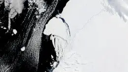 Brunt Ice Shelf Spawns Iceberg A-81