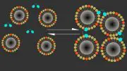 Calcium Based MRI Sensor