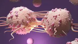 Cancer Cells Dividing