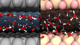 Dissolved CO2 in Water Under Nanoconfinement