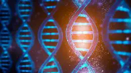 DNA Functions Concept