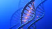 DNA Genetics Mutation Concept