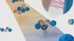 DNA Strands Programmed To Fold Into Specific Geometries