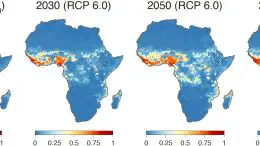 Ecological Niche Suitability for Lassa Virus