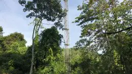 Eddy Covariance Flux Tower