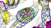 electron-density image of a Photosystem II molecular cluster