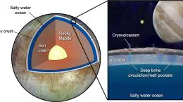 Europa Cross-Section