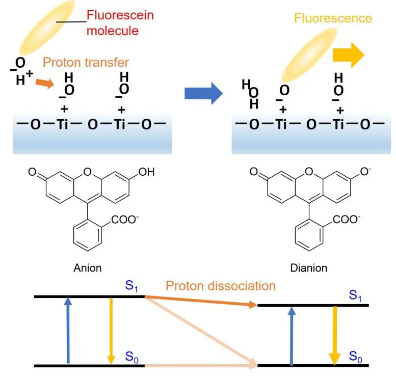 Excited State Proton Transfer From Dye Molecules to the Titania Surface Schematic Diagram