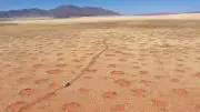 Fairy Circles