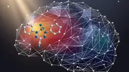 Formanzanate NIR II Small Molecule Dye Brain