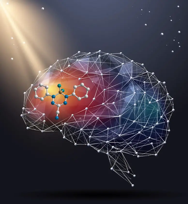 Formanzanate NIR II Small Molecule Dye Brain