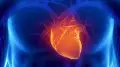 Glowing Human Heart Concept