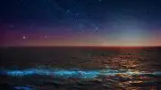 Glowing Phytoplankton Ocean