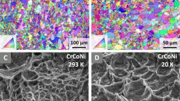 Grain Structures and Crystal Lattice Orientations