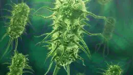 Green Bacteria Virus