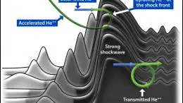 Heavy Ion Dynamics