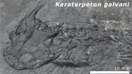 Keraterpeton galvani