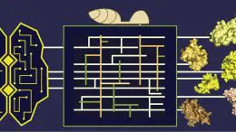 Machine Learning Meets Plant Pathogens