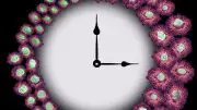 Macrophage Clock