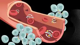 Magnetic Bacteria