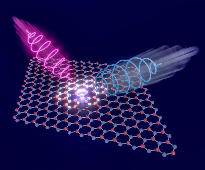 Measuring Topological Phases With Scattered Laser Light