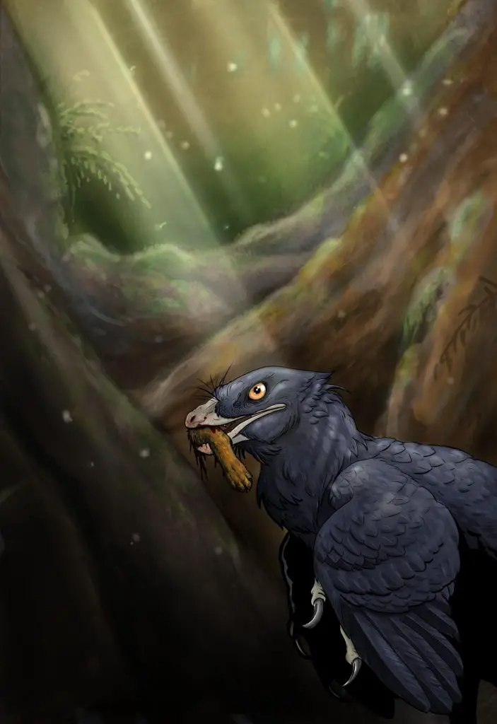 Microraptor zhaoianus Rendering