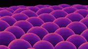 Microscopic lenses made of calcium