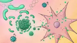 Molecule Vaccine Adjuvant