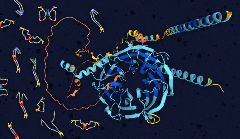 Motor Protein