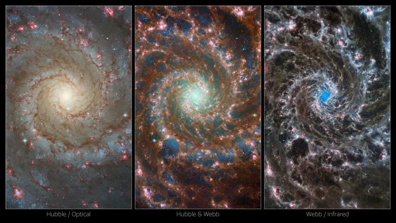 Multi Observatory Views of M74