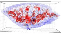 Murine Spleen Tissue 3D Reconstruction