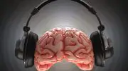 Music Brain