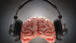 Music Brain