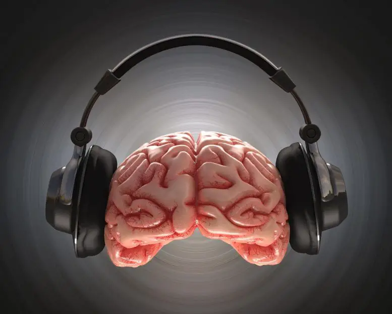 Music Brain