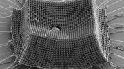 Nanoarchitected Impact Resistant Material
