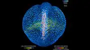 Neural Progenitor Cells in a Developing Embryo