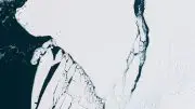 New Iceberg A81 Antarctica