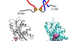 Non-Covalent Lasso Entanglement