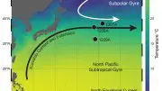 Northwest Pacific Ocean Sea Surface Temperature Map