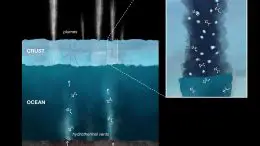 Organic Compounds Saturns Moon Enceladus