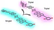 Organic Molecules Isolate Triplet Excitons