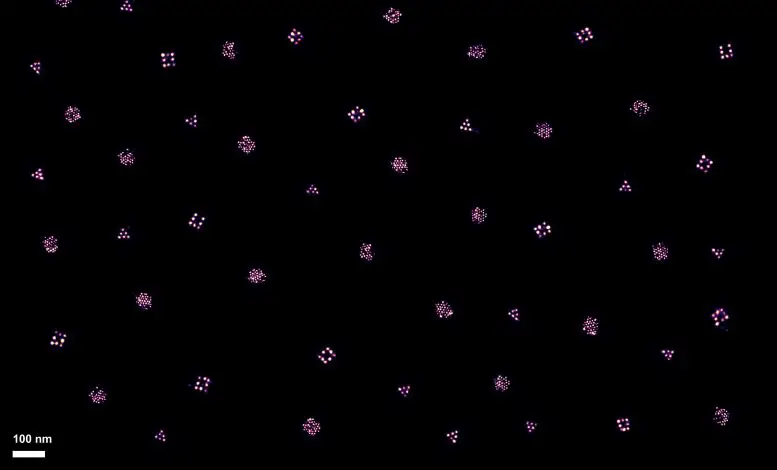 Original Microscopy Data on Different Ligand Patterns on DNA Materials