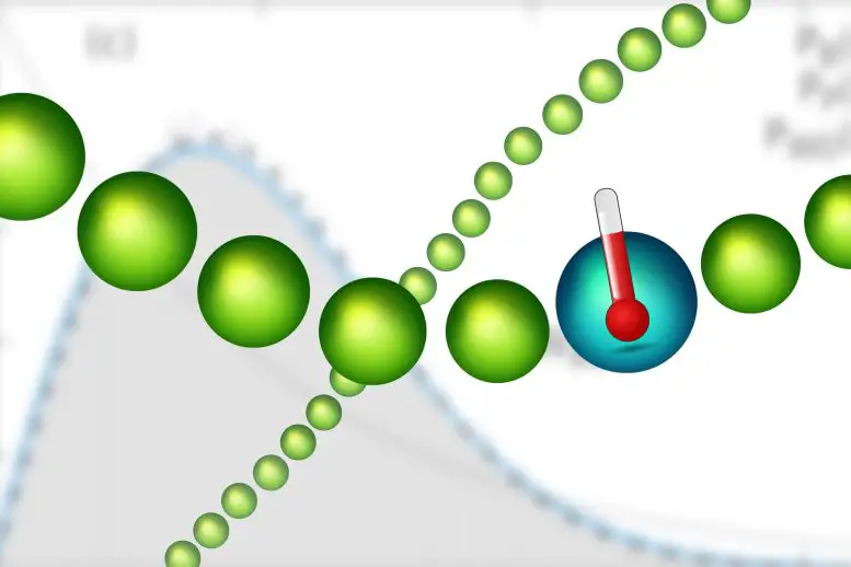 Particle Thermometer